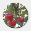 Buscar fruta imanes Agricultura