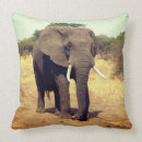 Buscar elefantes grises cojines General y unisex