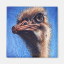 Buscar avestruz imanes Acuarela