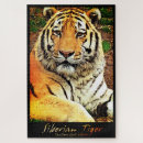 Buscar tigre siberiano puzzles Para todos
