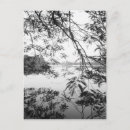 Buscar vietnam postales Artístico