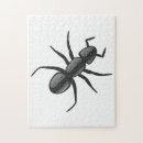 Buscar hormigas puzzles Animal
