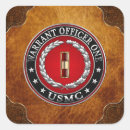 Buscar c7 insignias militares 3d pegatinas Usmc wo1 sendoff