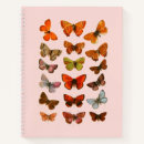 Buscar papel viejo cuadernos Rosa