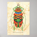 Buscar interesante posters Ilustracion