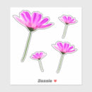 Buscar margarita africana postales Jardín