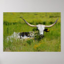 Buscar vaca arte Ganado