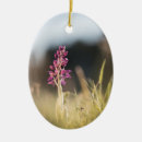 Buscar orquídea adornos Planta
