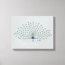 Buscar pavo real lienzos Pintura