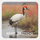 Buscar grúa pegatinas Grúa de corona roja