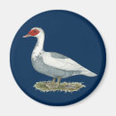 Buscar pato azul imanes Ave