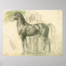 Buscar estudio de un caballo posters Pintura