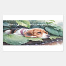 Buscar beagle pegatinas Amantes del perro