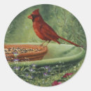 Buscar alimentadores pegatinas Pájaros