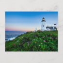 Buscar en pointe postales Flores