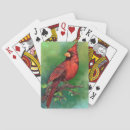 Buscar pájaro cardinal barajas de cartas Escarlata