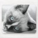 Buscar ojos azules alfombrillas de raton Gatito
