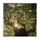 Buscar rayo 10cm azulejos Árbol
