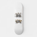 Buscar setas tablas de skate Tambor