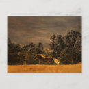 Buscar corriendo postales Equino