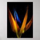 Buscar pájaros y flores posters Colorido