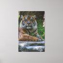 Buscar tendencia lienzos Rayas