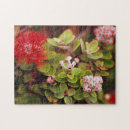 Buscar volcanes puzzles Hawaii