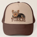 Buscar yorkies gorras Perro