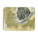 Buscar cabezas imanes Moderno