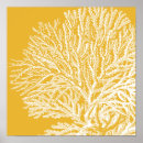 Buscar fondo marino posters Coral