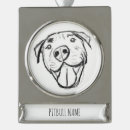 Buscar mi pitbull decoracion Para mascotas