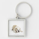 Buscar bulldog llaveros Naturaleza