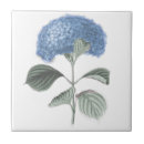 Buscar el cultivar un huerto azulejos Flor