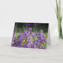 Buscar thinking of you tarjetas Nature