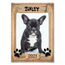 Buscar patas del perro posters Para mascotas