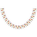 Buscar del arco iris banderines General y unisex