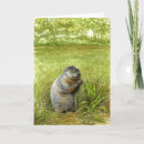 Buscar matorral tarjetas Vida silvestre