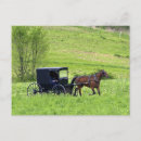 Buscar amish postales Rural