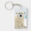 Buscar jabalíes llaveros Animal