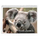 Buscar koala calendarios Animal