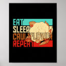 Buscar comida sana posters Vegetariana