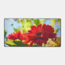 Buscar gerbera rojo Flores rojas