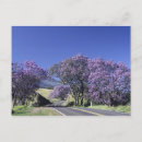 Buscar árbol floreciente postales Naturaleza