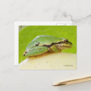 Buscar pacífico postales Fotografía de naturaleza