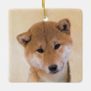 Buscar shiba inu adornos Cachorro