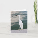 Buscar pájaros blancos tarjetas Playa