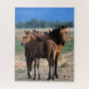 Buscar huesos del pie puzzles Animales