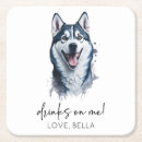 Buscar dog posavasos Husky siberiano