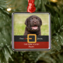 Buscar perro negro del labrador retriever adornos Para mascotas