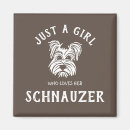 Buscar schnauzer imanes Perros lindos
